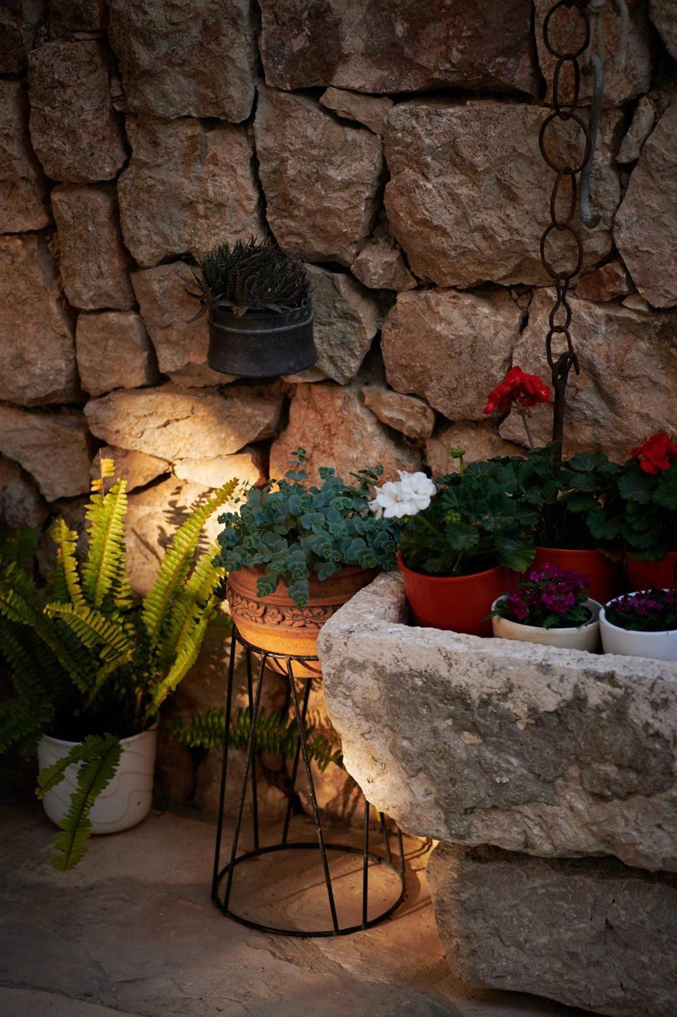 Apartments Micika Cavtat Δωμάτιο φωτογραφία